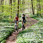 two cyclists on a bike trail